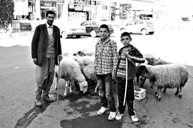 14489788119_655f025041_b