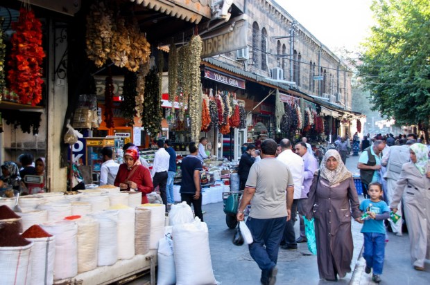 8157264534_fe99b8f88d_b